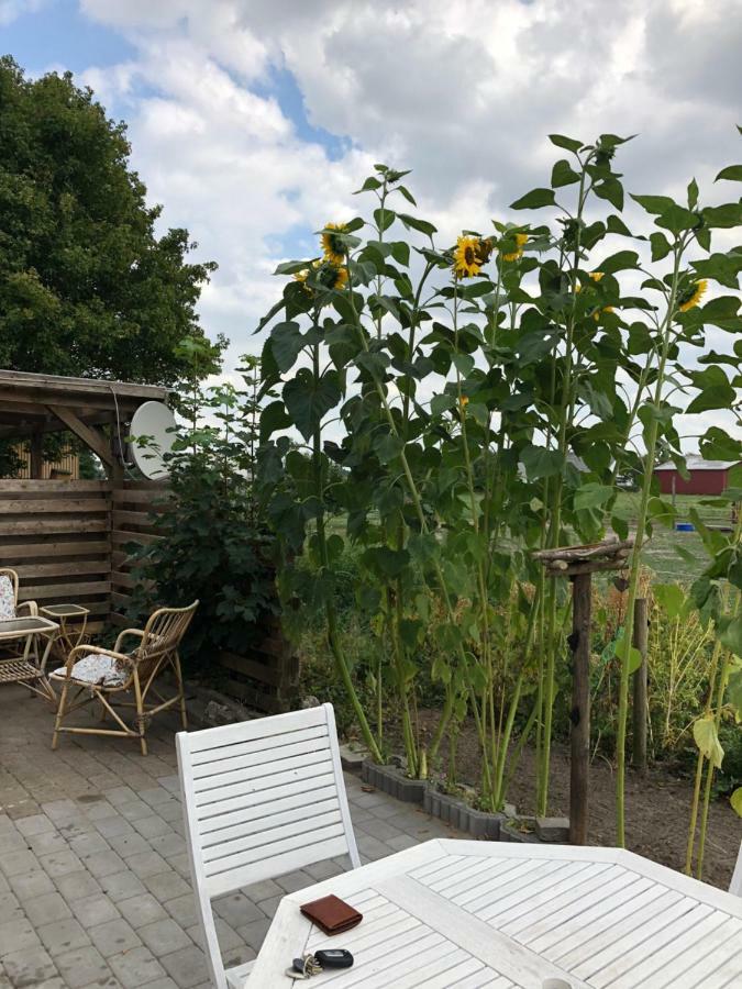 A Big Holidayhouse Romo-Rim-Ribe Skærbæk المظهر الخارجي الصورة